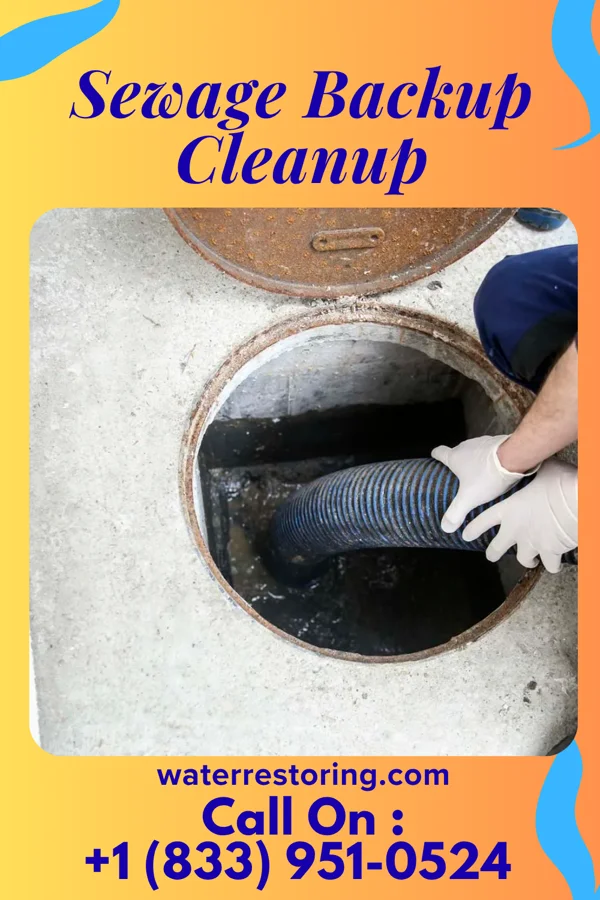 Sewage Backup Cleanup in Puxico, MO