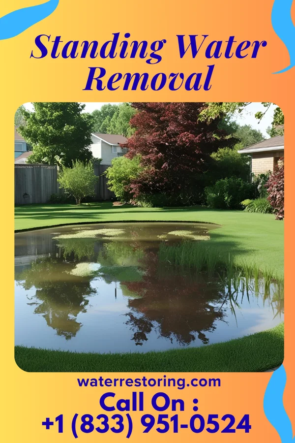 Standing Water Removal in Puxico, MO
